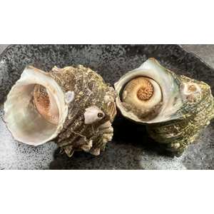 サザエつぼ焼き